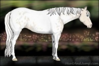 Horse Color:Silver Smoky Creme Tobiano Appaloosa 