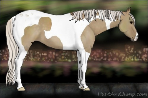 Horse Color:Silver Smoky Grullo Tobiano 