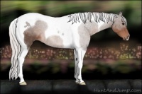 Horse Color:Silver Brown Roan Tobiano 