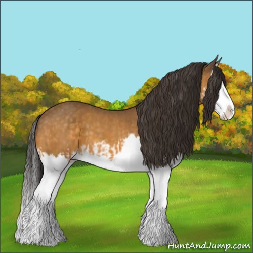 Horse Color:Buckskin Splash and Buckskin Splash