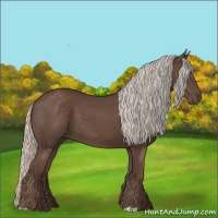 Horse Color:Silver Black 