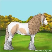 Horse Color:Gold Champagne Splash Tobiano 