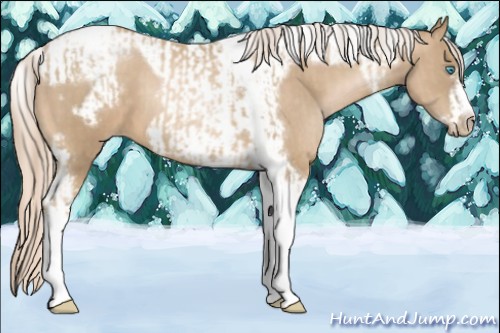 Horse Color:Chocolate Palomino Pearl Tobiano Frame  and Chocolate Palomino Pearl Tobiano Frame 