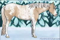 Horse Color:Chocolate Palomino Pearl Tobiano Frame  and Chocolate Palomino Pearl Tobiano Frame 