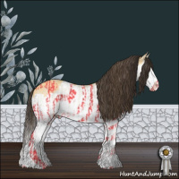 Horse Color:Buckskin Dun Splash  and Amber Cream Champagne Dun Splash 