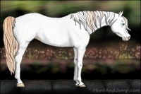 Horse Color:Amber Cream Champagne Ice Pearl Dun Near Leopard