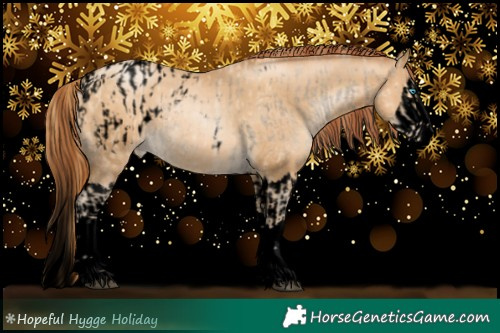 Horse Color:Void Buckskin Snowdrop Splash Appaloosa  and Gray Void Amber Cream Champagne Snowdrop Splash Rabicano 