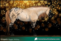 Horse Color:Void Buckskin Snowdrop Splash Appaloosa  and Gray Void Amber Cream Champagne Snowdrop Splash Rabicano 