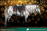 Horse Color:Void Buckskin Pearl Splash Appaloosa  and Gray Void Amber Cream Champagne Pearl Splash Rabicano 