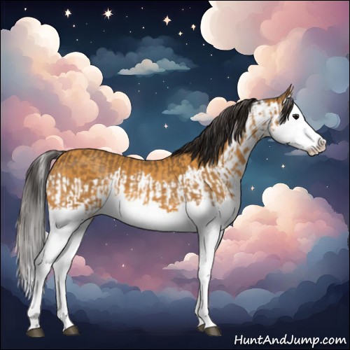 Horse Color:Buckskin Splash and Buckskin Splash