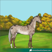 Horse Color:Liver Red Dun Mushroom Rabicano Brindle 