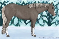 Horse Color:Silver Black Splash 