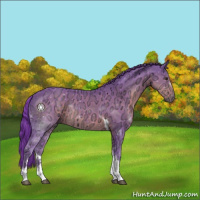 Horse Color:Watercolor Liver Chestnut Ice Tobiano Rabicano 