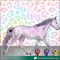 Horse Color:Watercolor White Spotted Liver Red Dun Ice Tobiano Rabicano