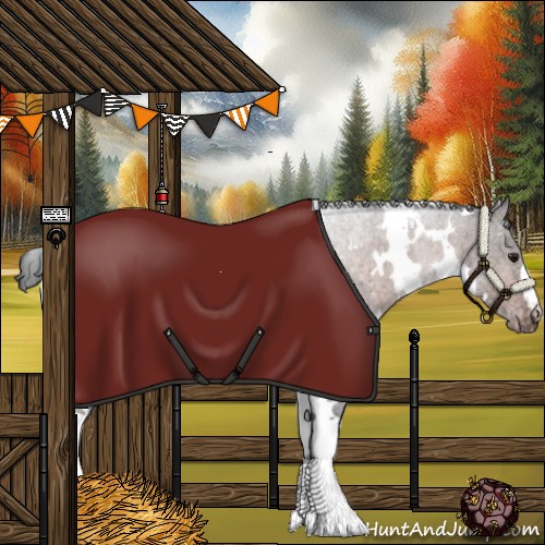 Horse Color:White Spotted Brown Appaloosa 