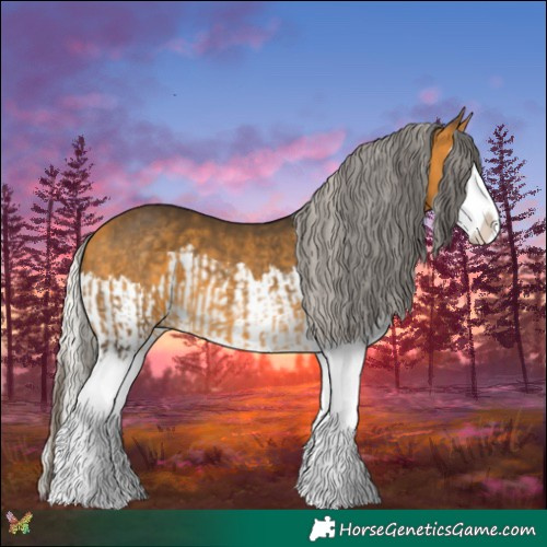 Horse Color:Buckskin Splash  and Silver Buckskin Splash 