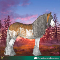 Horse Color:Buckskin Splash  and Silver Buckskin Splash 