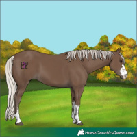 Horse Color:Silver Black 