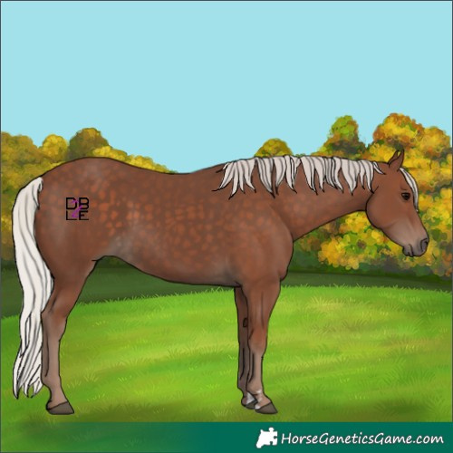 Horse Color:Silver Black