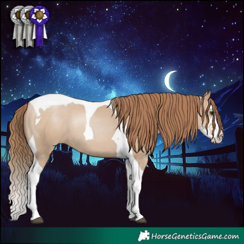 Horse Color:Grullo Pearl Sabino Splash Tobiano Rabicano