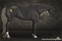 Horse Color:Liver Chestnut Mushroom Tobiano 