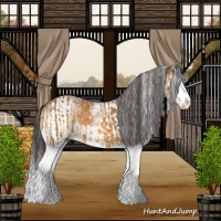 Horse Color:Buckskin Splash  and White Spotted Buckskin Splash 