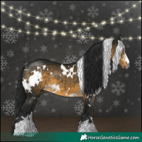 Horse Color:Gray White Spotted Buckskin Mushroom