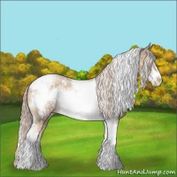 Horse Color:Chocolate Palomino Pearl Tobiano Frame  and Chocolate Palomino Pearl Tobiano Frame 