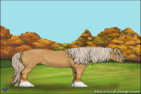 Horse Color:Palomino 