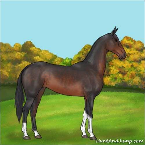 Horse Color:Brown Tobiano 