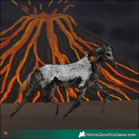 Horse Color:Painted White Spotted Blue Roan Splash 