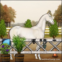 Horse Color:Smoky Grullo Pearl Sabino