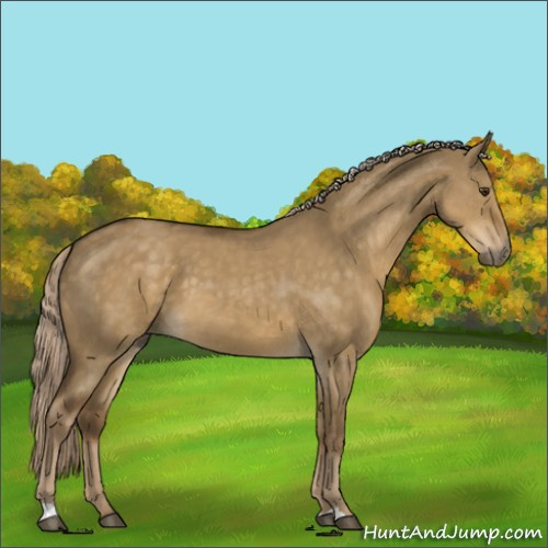 Horse Color:Chocolate Palomino Dun 