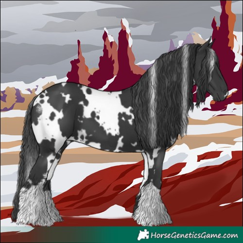 Horse Color:White Spotted Black 