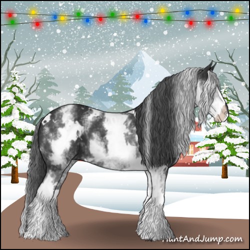 Horse Color:White Spotted Black