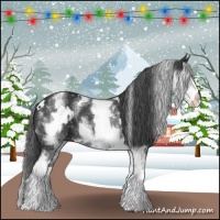 Horse Color:White Spotted Black