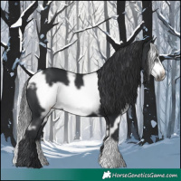 Horse Color:White Spotted Black Frame 