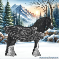 Horse Color:Black 