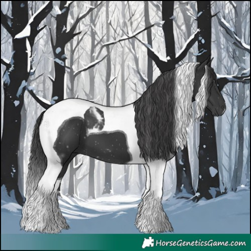 Horse Color:Black Tobiano