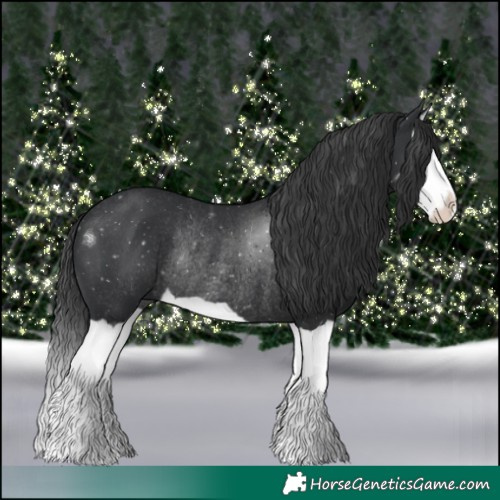 Horse Color:Black Splash Rabicano 