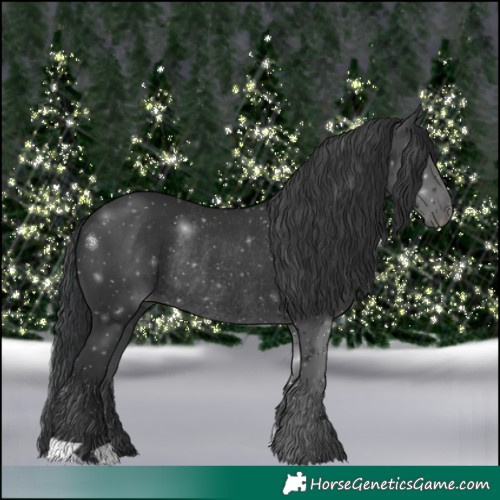 Horse Color:Black Rabicano 