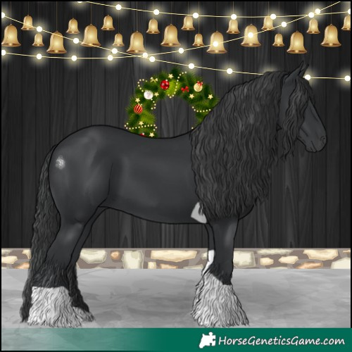 Horse Color:Black Tobiano 