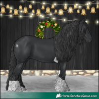 Horse Color:Black Tobiano 