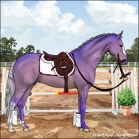 Horse Color:Watercolor Silver Brown 