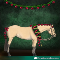 Horse Color:Buckskin  and Buckskin 