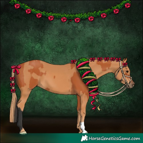 Horse Color:Bay  and Chestnut 