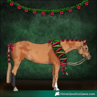 Horse Color:Bay  and Chestnut 