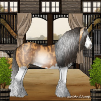 Horse Color:Gray Buckskin Splash  and Buckskin Splash 