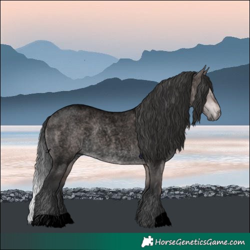Horse Color:Void Platinum Brown Roan Dun 