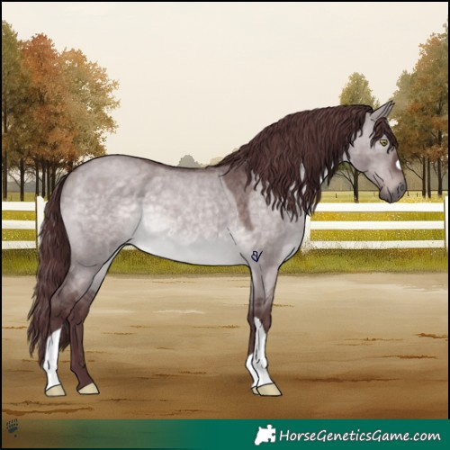 Horse Color:Platinum Chocolate Brown Roan Dun 
